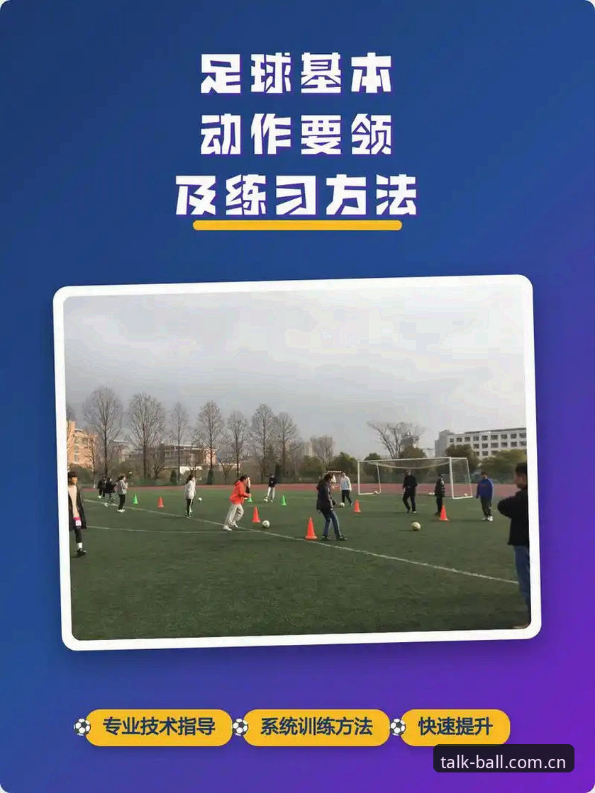 谈球吧体育新手指南：从零开始玩转官方版